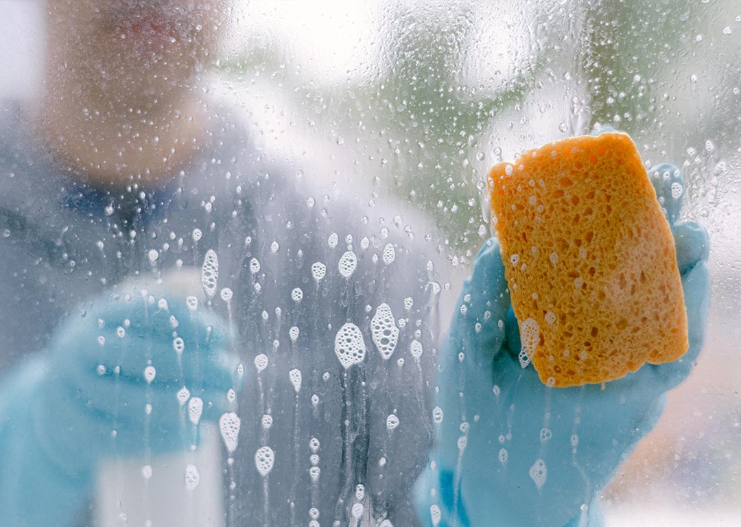 divi-cleaning-theme-11