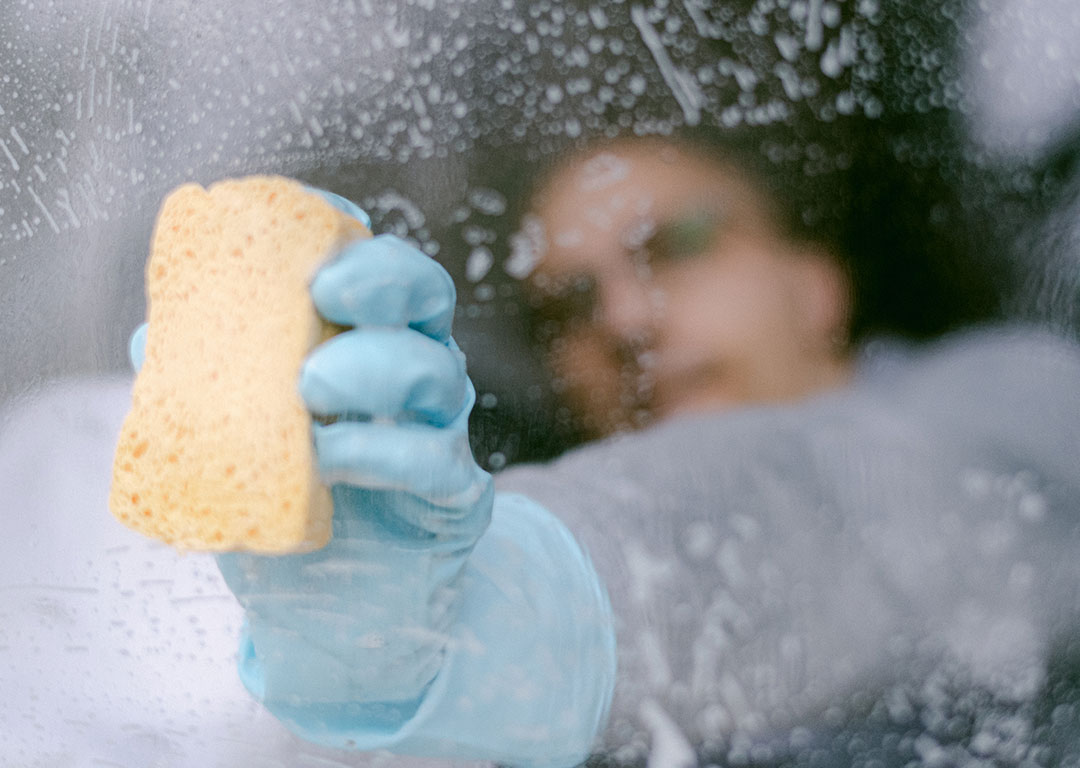 divi-cleaning-theme-12