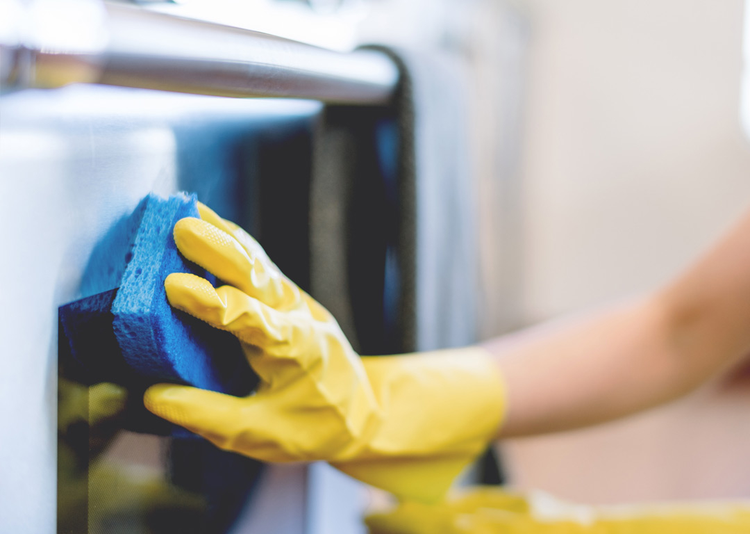 divi-cleaning-theme-6